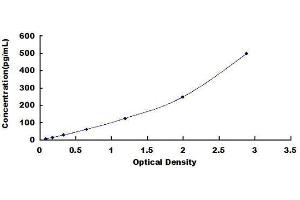 Microtubule-Associated Protein tau (MAPT) ELISA Kit