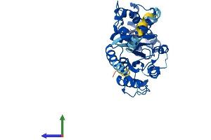 Protein Structure (PS) image for Guanine Nucleotide Binding Protein (G Protein), alpha 11 (Gq Class) (GNA11) (AA 1-359) protein (His tag) (ABIN7562955)