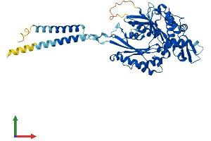 Protein Structure (PS) image for Ectonucleoside Triphosphate diphosphohydrolase 1 (ENTPD1) (AA 1-510) protein (His tag) (ABIN7547450)