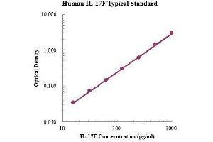 ELISA image for Interleukin 17F (IL17F) ELISA Kit (ABIN3199225)