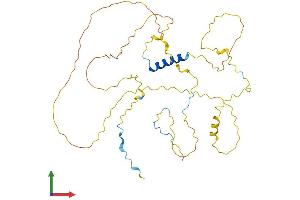 Protein Structure (PS) image for RAD51-Interacting Protein (RAD51AP1) (AA 1-352) protein (His tag) (ABIN7551136)