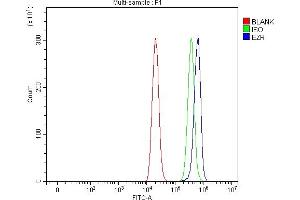 Flow Cytometry analysis of THP-1 cells using anti-Ezrin/EZR antibody (ABIN7603214). (Ezrin 抗体  (N-Term))