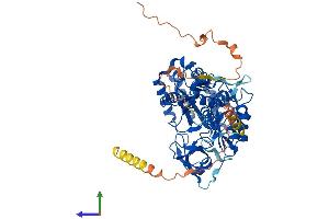 AlphaFold protein structure predicition of Human Recombinant CDKAL1 Protein, UniprotID Q5VV42 (CDKAL1 Protein (AA 1-579) (His tag))