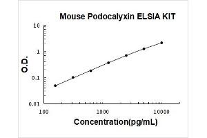 Podocalyxin-Like (PODXL) ELISA Kit