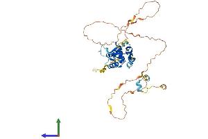 Protein Structure (PS) image for Forkhead Box H1 (FOXH1) (AA 1-365) protein (His tag) (ABIN7547762)