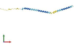 Protein Structure (PS) image for Morf4 Family Associated Protein 1 (MRFAP1) (AA 1-127) protein (His tag) (ABIN7549423)
