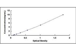 Typical standard curve (ETFA ELISA 试剂盒)