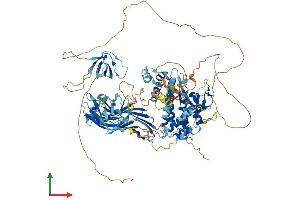 AlphaFold protein structure predicition of Mouse Recombinant Sh3bp4 Protein, UniprotID Q921I6
