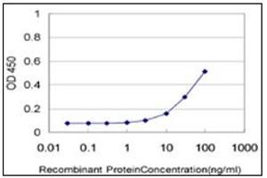 ELISA image for anti-Netrin G2 (NTNG2) (AA 21-120) antibody (ABIN614733) (Netrin G2 抗体  (AA 21-120))