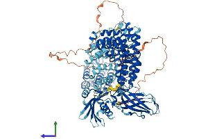 Protein Structure (PS) image for Adaptor-Related Protein Complex 1, beta 1 Subunit (AP1B1) (AA 1-943) protein (His tag) (ABIN7562349)