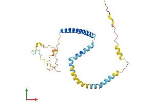 AlphaFold protein structure predicition of Mouse Recombinant Tpd52 Protein, UniprotID Q62393
