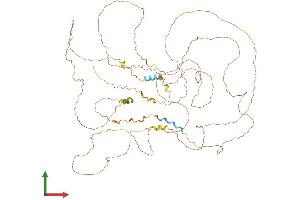Protein Structure (PS) image for Mastermind-Like Domain Containing 1 (MAMLD1) (AA 1-774) protein (His tag) (ABIN7549148)