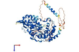 CHST15 Protein (AA 1-561) (His tag)
