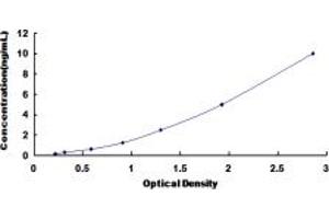 Typical standard curve (Lamin B2 ELISA 试剂盒)