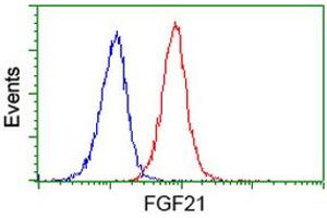 Flow cytometric Analysis of Jurkat cells, using anti-FGF21 antibody (ABIN2454511), (Red), compared to a nonspecific negative control antibody, (Blue). (FGF21 抗体  (AA 29-209))