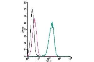 Flow Cytometry (FACS) image for anti-Transient Receptor Potential Cation Channel, Subfamily V, Member 4 (TRPV4) (AA 647-662), (Extracellular) antibody (ABIN7043852)