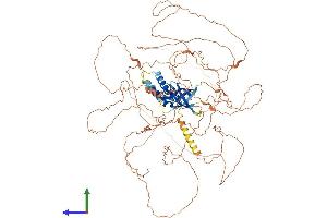 Protein Structure (PS) image for Chromosome 11 Open Reading Frame 82 (C11orf82) (AA 1-898) protein (His tag) (ABIN7557973)