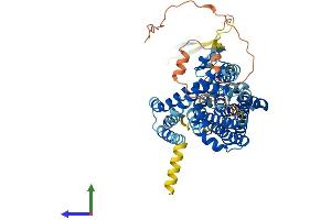 Protein Structure (PS) image for Solute Carrier Family 1 (Glutamate Transporter), Member 7 (SLC1A7) (AA 1-559) protein (His tag) (ABIN7559402)