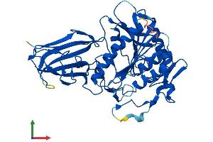 Protein Structure (PS) image for Acyl-CoA Thioesterase 6 (ACOT6) (AA 1-419) protein (His tag) (ABIN7557028)