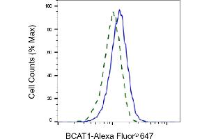 Validation of BCAT1 knockdown using flow cytometry. (BCAT1 抗体)