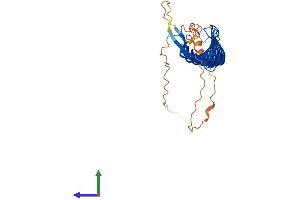 AlphaFold protein structure predicition of Human Recombinant RSPH1 Protein, UniprotID Q8WYR4 (RSPH1 Protein (AA 1-309) (His tag))