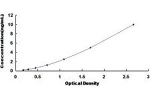 ELISA image for Cytochrome P450, Family 1, Subfamily A, Polypeptide 1 (CYP1A1) ELISA Kit (ABIN6955228)