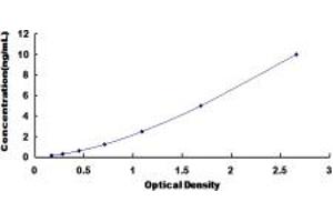 Typical standard curve (CYP1A1 ELISA 试剂盒)