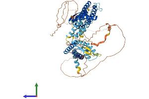 Protein Structure (PS) image for Potassium Voltage-Gated Channel, Shaw-Related Subfamily, Member 2 (KCNC2) (AA 1-642) protein (His tag) (ABIN7563639)