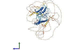 Protein Structure (PS) image for Tripartite Motif Containing 24 (TRIM24) (AA 1-1051) protein (His tag) (ABIN7563980)