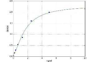 A typical standard curve (PTTG1IP ELISA 试剂盒)