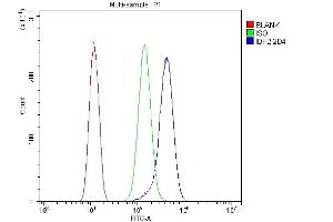 Flow Cytometry analysis of SiHa cells using anti- IDH2 antibody (ABIN7602785). (IDH2 抗体  (C-Term))