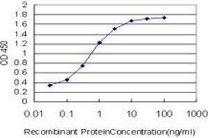 Detection limit for recombinant GST tagged BATF is approximately 0. (BATF 抗体  (AA 34-125))