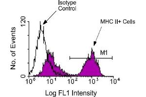 Flow Cytometry (FACS) image for anti-MHC Class II I-Ab antibody (FITC) (ABIN371139) (MHC Class II I-Ab 抗体  (FITC))