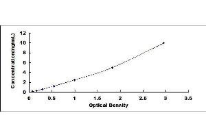 Vitamin D-Binding Protein (GC) ELISA Kit