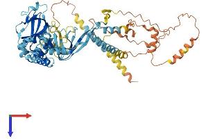 AlphaFold protein structure predicition of Human Recombinant CNBD2 Protein, UniprotID Q96M20