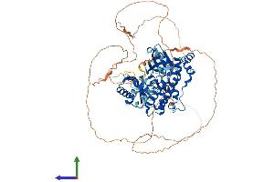 AlphaFold protein structure predicition of Mouse Recombinant Mark3 Protein, UniprotID Q03141
