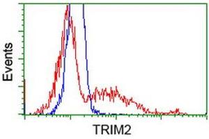 HEK293T cells transfected with either RC203947 overexpress plasmid (Red) or empty vector control plasmid (Blue) were immunostained by anti-TRIM2 antibody (ABIN2454057), and then analyzed by flow cytometry. (TRIM2 抗体  (AA 1-100, AA 645-744))