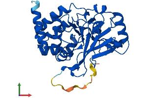 AlphaFold protein structure predicition of Human Recombinant PPP2CB Protein, UniprotID P62714