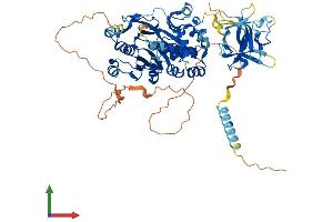 Protein Structure (PS) image for UDP-N-Acetyl-alpha-D-Galactosamine:polypeptide N-Acetylgalactosaminyltransferase 14 (GalNAc-T14) (GALNT14) (AA 1-639) protein (His tag) (ABIN7554025)