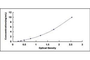 Typical standard curve (CNPY2/MSAP ELISA 试剂盒)