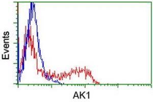 Flow Cytometry (FACS) image for anti-Adenylate Kinase 1 (AK1) antibody (ABIN1496516) (Adenylate Kinase 1 抗体)