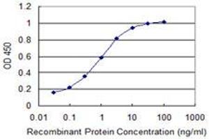 ELISA image for anti-SLIT-ROBO rho GTPase Activating Protein 1 (SRGAP1) (AA 952-1050) antibody (ABIN528215)