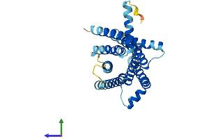 AlphaFold protein structure predicition of Human Recombinant TAS2R31 Protein, UniprotID P59538