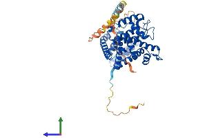 Protein Structure (PS) image for FIC Domain Containing (FICD) (AA 1-458) protein (His tag) (ABIN7558687)