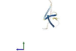 Protein Structure (PS) image for Keratin 23 (KRT23) (AA 1-422) protein (His tag) (ABIN7560470)