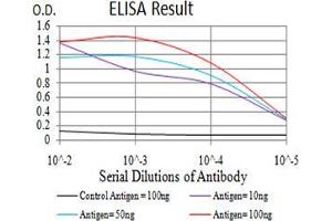 Black line: Control Antigen (100 ng);Purple line: Antigen (10ng); Blue line: Antigen (50 ng); Red line:Antigen (100 ng) (BUB1 抗体  (AA 1-130))