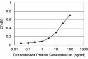 Detection limit for recombinant GST tagged BPNT1 is approximately 1ng/ml as a capture antibody. (BPNT1 抗体  (AA 1-100))