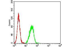 Flow cytometric analysis of Hela cells using SAG2 mouse mAb (green) and negative control (red). (Surface Antigen 2B 抗体  (AA 1-130))