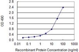 Sandwich ELISA detection sensitivity ranging from 0. (PPP3R2 (人) Matched Antibody Pair)