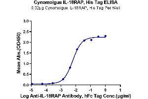 ELISA image for Interleukin 18 Receptor Accessory Protein (IL18RAP) (AA 20-356) protein (His tag) (ABIN7274970)